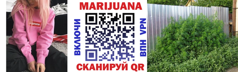 Конопля SATIVA & INDICA  Котельниково 